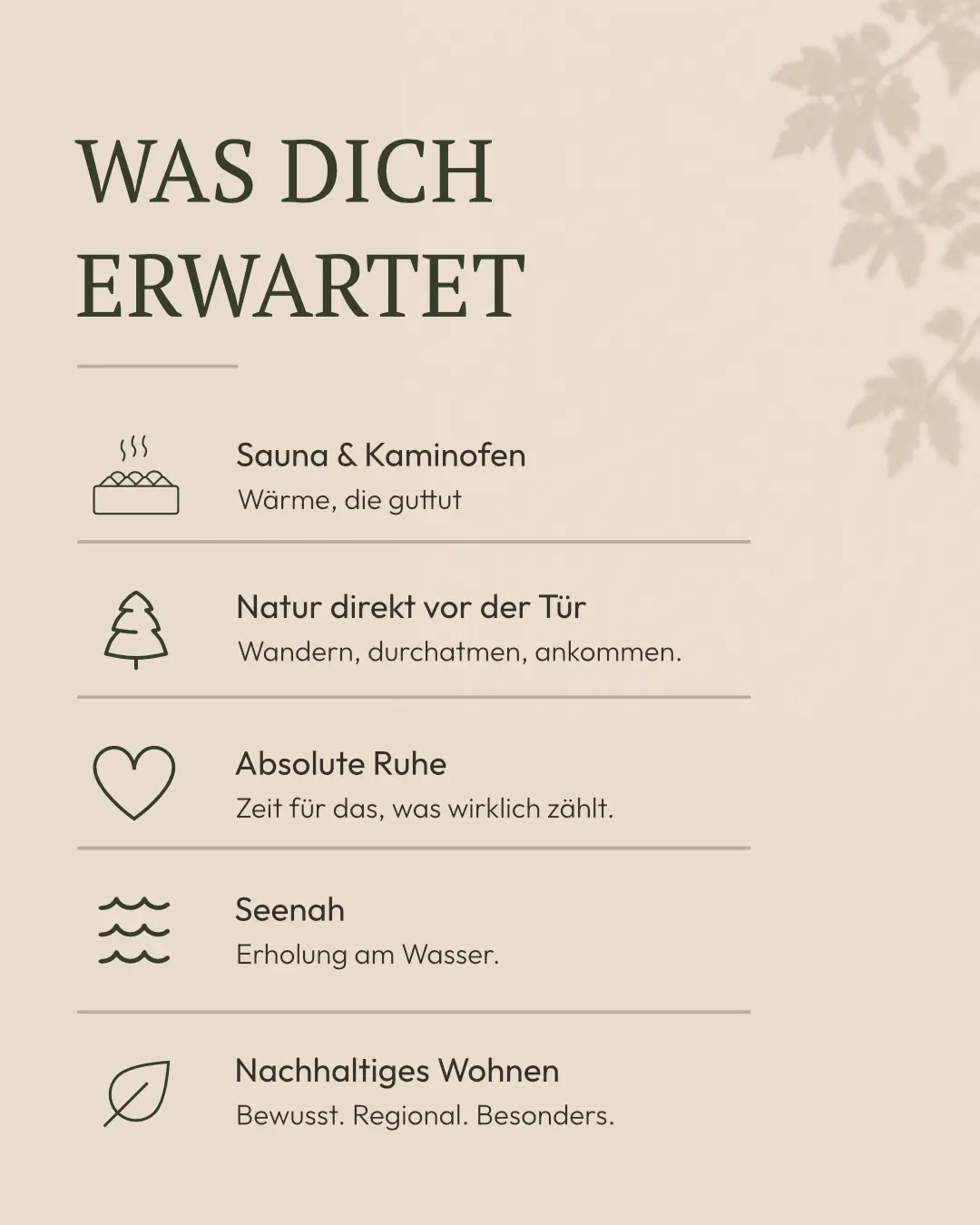 Beitrag für Eifelhaus Auszeit: Überschrift „Was dich erwartet“ und fünf Punkte mit Icons: Sauna und Kaminofen, Natur direkt vor der Tür, absolute Ruhe, seenah, nachhaltiges Wohnen.